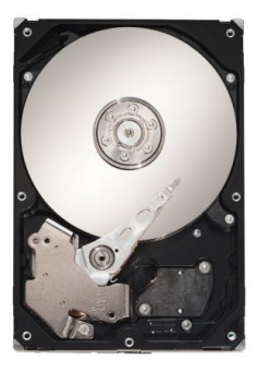 Dysk Barracuda 7200.10© Seagate