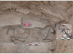 Bar-Oz G, Nahshoni P, Motro H, Oren ED (2013) Symbolic Metal Bit and Saddlebag Fastenings in a Middle Bronze Age Donkey Burial. PLoS ONE 8(3): e58648. doi:10.1371/journal.pone.0058648