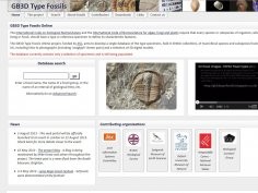 GB3D Type Fossils Online