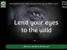 Wildlife Witness 