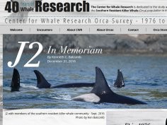 Center for Whale Research, CWR