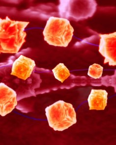 Mikrofotografia nanodetektora glukozy