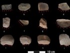 Wang J et al. (2022) New evidence for rice harvesting in the early Neolithic Lower Yangtze River, China. PLoS ONE 17(12)