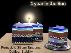 M. Babics et al. One-year outdoor operation of monolithic perovskite/silicon tandem solar cells, Cell Reports Physical Science, 2023