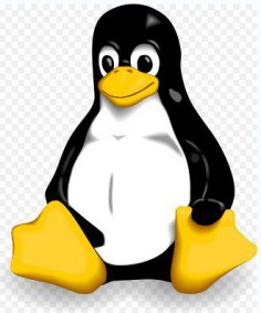 Pingwin Tux, symbol Linuksa© Larry Ewing, Simon Budig, Anja Gerwinski