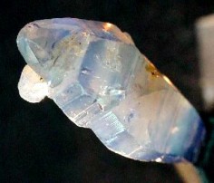 Szafir