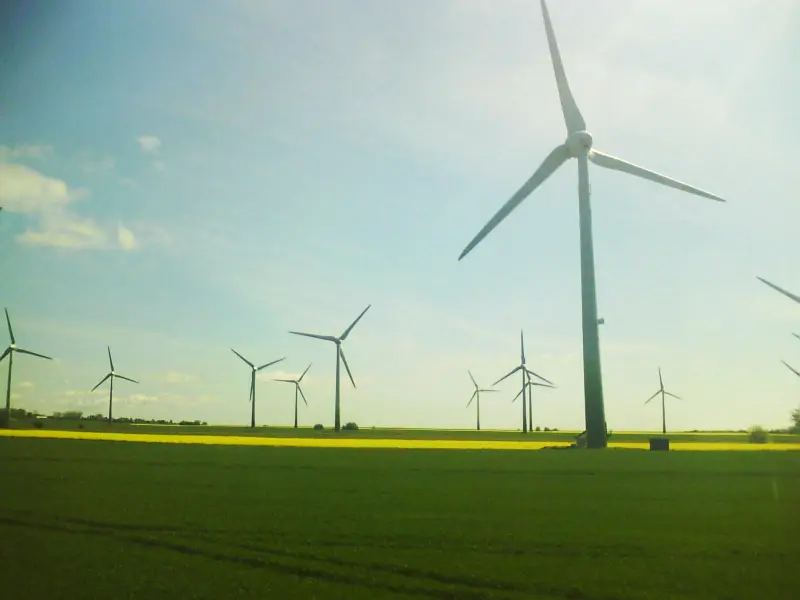 Farmy wiatrowe stały się nowym drapieżnikiem alfa