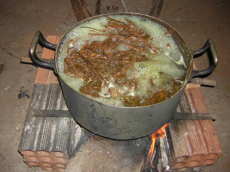Ayahuasca lekiem na zaburzenia nastroju i alkoholizm?