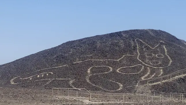 Olbrzymi kot z Nazca. Na słynnym płaskowyżu odkryto nieznany dotychczas geoglif