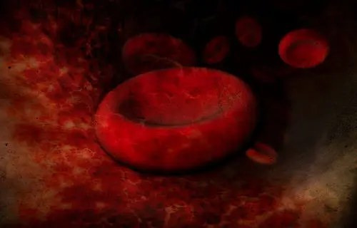 Tłuszcz wokół naczyń grozi chorobami serca i udarem
