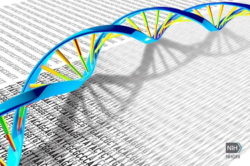 Ekspansja Słowian już od II wieku? Nowa metoda analizy DNA pokazuje, co niewidoczne