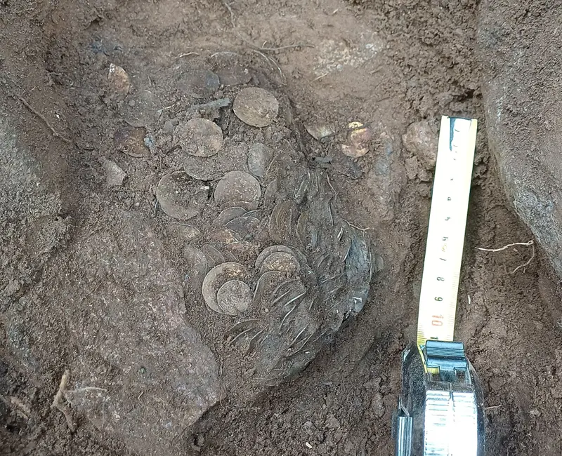 Srebrny skarb epoki wikingów. Największe takie znalezisko w Finlandii