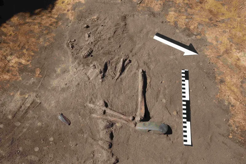 Sensacja pod Żórawiną. Badali cmentarz sprzed 1600 lat, znaleźli kurhan sprzed 5000 lat