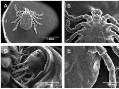 doi:info:doi/10.1371/journal.pone.0032676.g002 