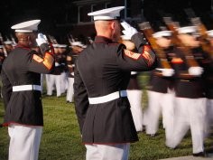 The Official Blog of the United States Marine Corps