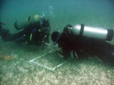 NSF Florida Coastal Everglades LTER Site