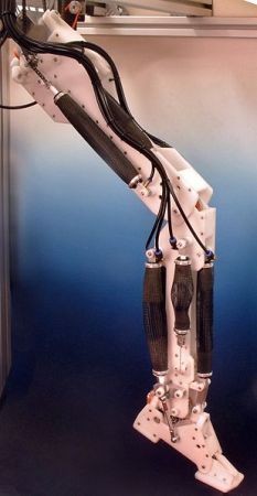 Noga robota z mięśniami powietrznymi© Rocketmagnetlicencja: Creative Commons