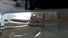 Sztuczny insekt© Carnegie Mellon University