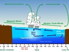 Schemat El Niño