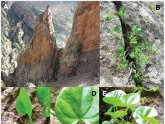 Garcia et al., PLoS ONE