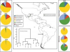 Tito et al. Insights from Characterizing Extinct Human Gut Microbiomes. PLoS ONE, 2012; 7 (12): e51146 DOI: 10.1371/journal.pone.0051146