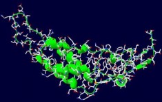 Struktura białka chroniącego wirusa mozaiki tytoniowej