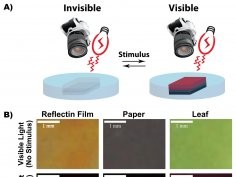 Dr Alon A. Gorodetsky et al., University of California, Irvine