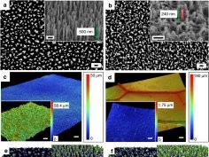 E.P. Ivanova et al., “Bactericidal activity of black silicon,” Nature Communications, 10.1038/ncomms3838, 2013, Creative Commons