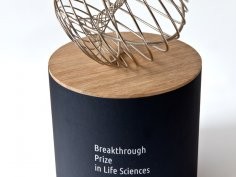 Breakthrough Prize