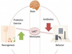 Möhle et al./Cell Reports 2016