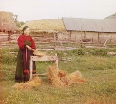 Międlenie lnu, Rosja rok 1910