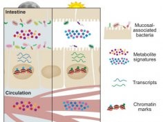 Thaiss et al/Cell 2016