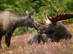 US National Park Service