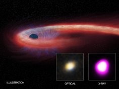 X-ray: NASA/CXC/UNH/D.Lin et al, Optical: CFHT, Illustration: NASA/CXC/M.Weiss