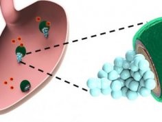 Laboratory for Nanobioelectronics at UC San Diego