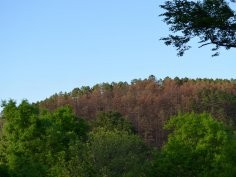 Kevin Krajick/Lamont-Doherty Earth Observatory