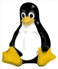 Pingwin Tux, symbol Linuksa