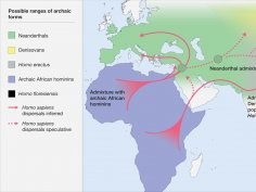 Roberts and Stewart. 2018. Defining the 'generalist specialist' niche for Pleistocene Homo sapiens. Nature Human Behaviour. 10.1038/s41562-018-0394-4