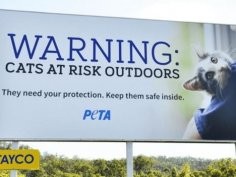 PETA