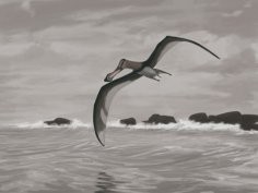 Anhanguera piscator, jeden z pterodaktyli