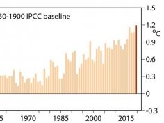 Copernicus Climate Change Service