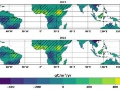 Carbon Brief