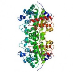 PDB, public domain