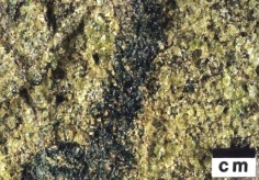 Omphacite