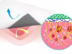 Li Z et al. Nature Communications 2019