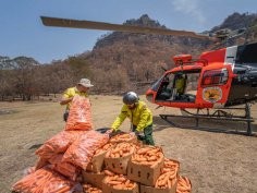 NSW National Parks and Wildlife Service 