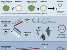 Grifoni et al./Cell Host & Microbe