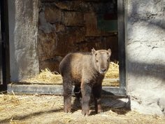 ZOO Wrocław