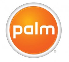 Palm