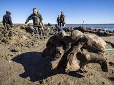 Artem Cheremisov/Governor of Yamalo-Nenets region of Russia Press Office